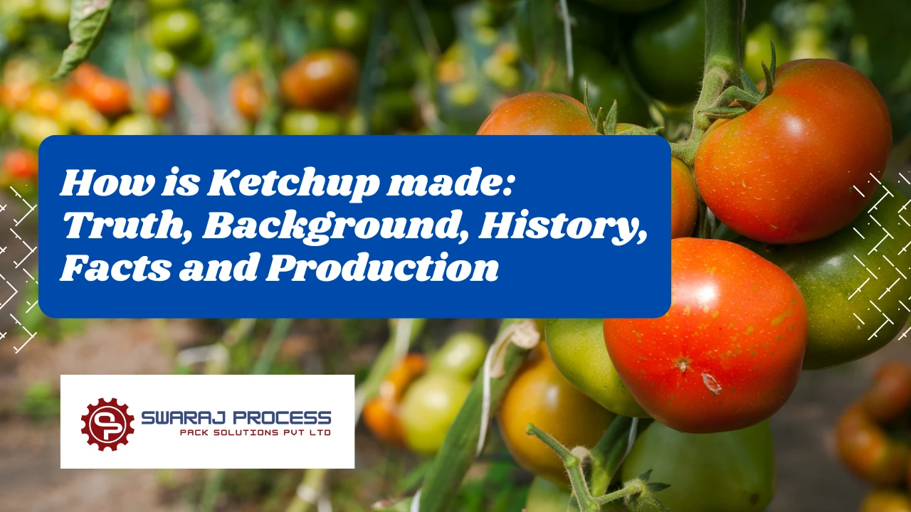 You are currently viewing How is Ketchup made: Truth, Background, History, Facts and Production