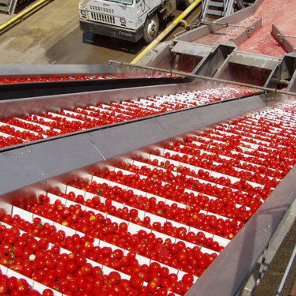 Tomato Processing Plant